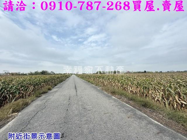 台南農地-10