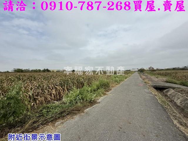 台南農地-11