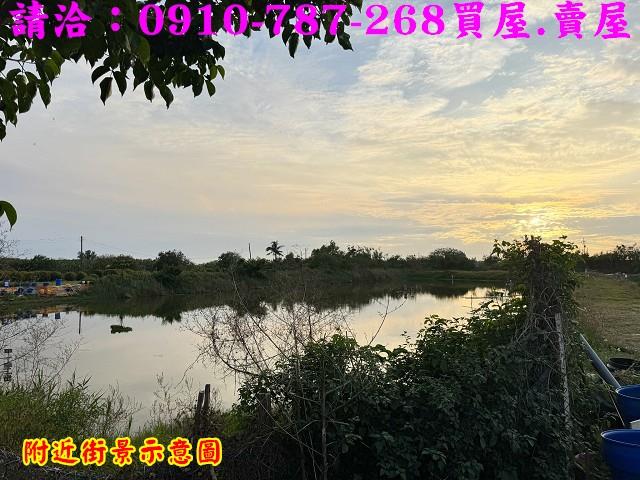 安南農地-9