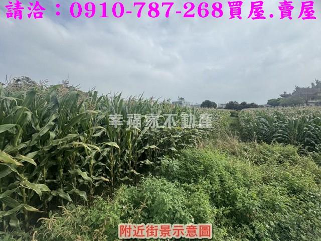 新營農地-9