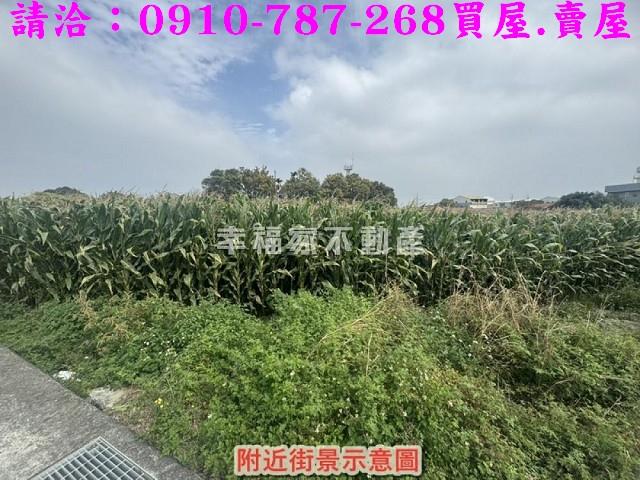 新營農地-10