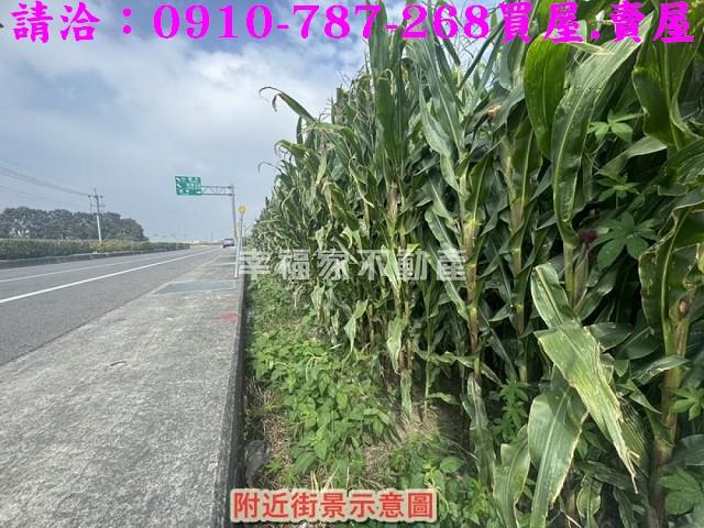 新營農地-13