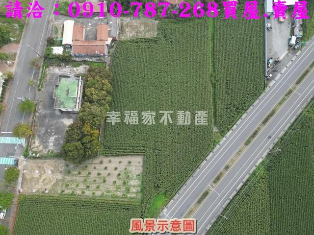 新營農地-3
