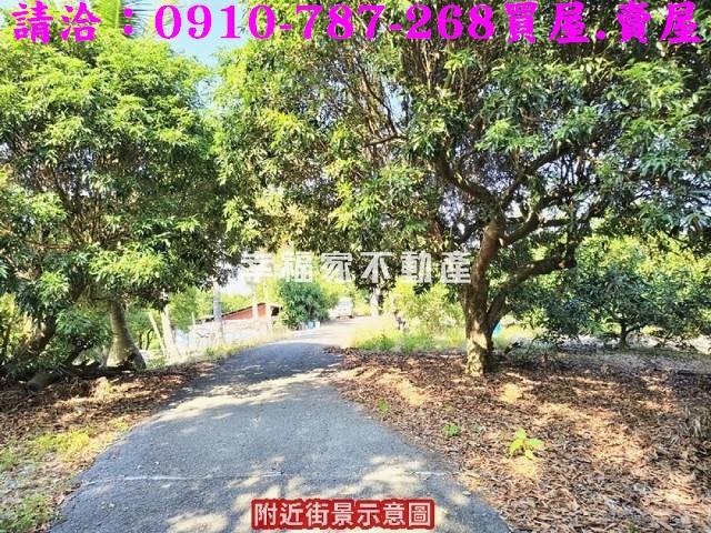 新化農地-10