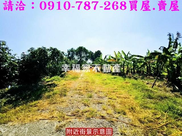 新化農地-11
