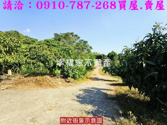 新化農地-12