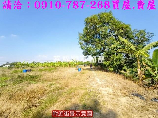 新化農地-2