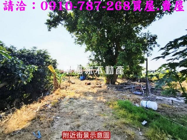 新化農地-7
