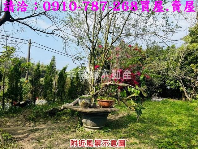 台南農地-11