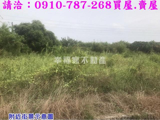 台南農地-3
