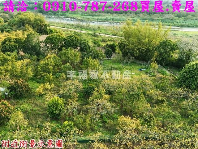 台南農地-1