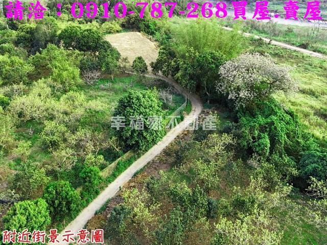 台南農地-2