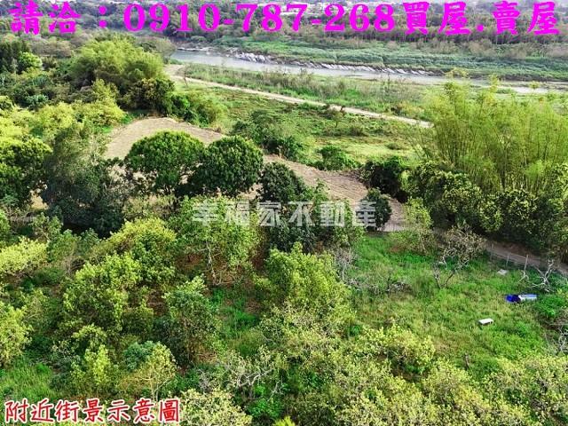 台南農地-4