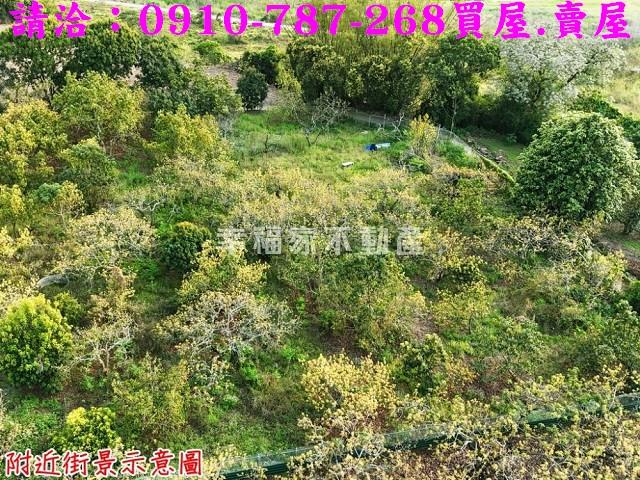 台南農地-5