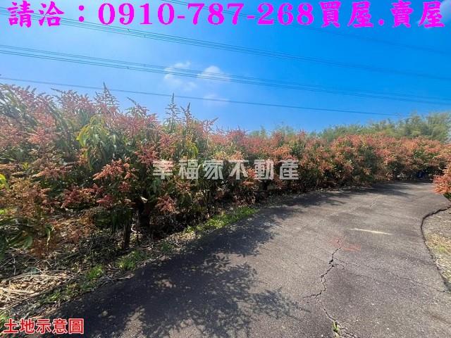 台南官田農地-9