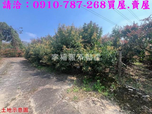 台南官田農地-11