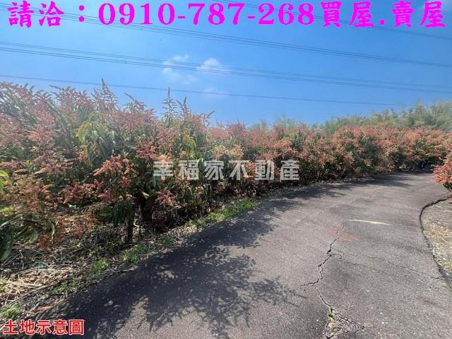 台南官田農地-2