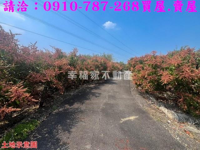 台南官田農地-3