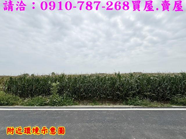 台南下營農地-12