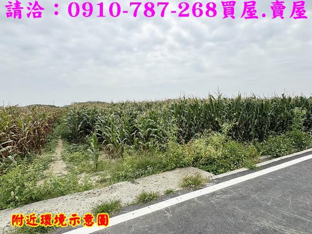 台南下營農地-14
