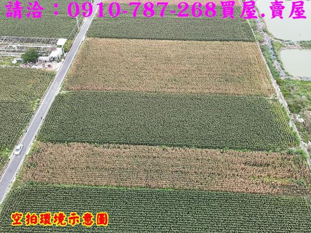 台南下營農地-7