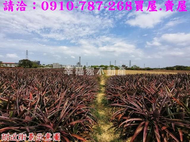 台南關廟農地-10