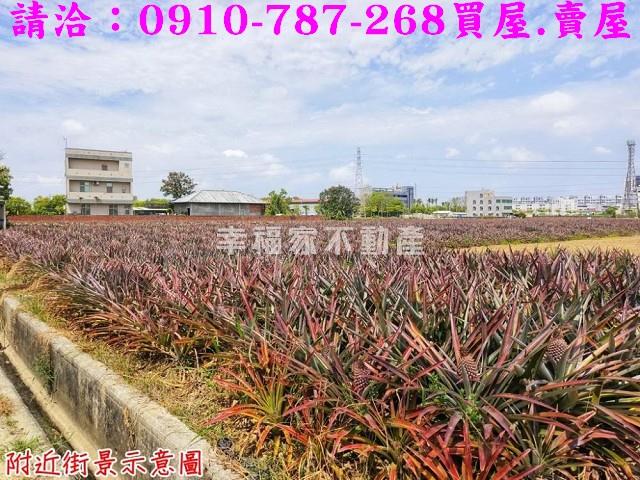 台南關廟農地-5
