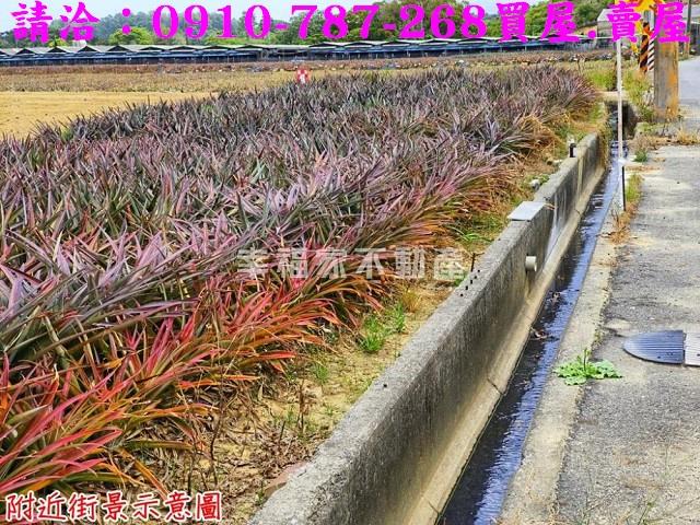 台南關廟農地-6