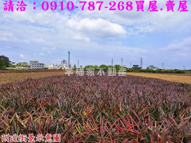 台南關廟農地-8