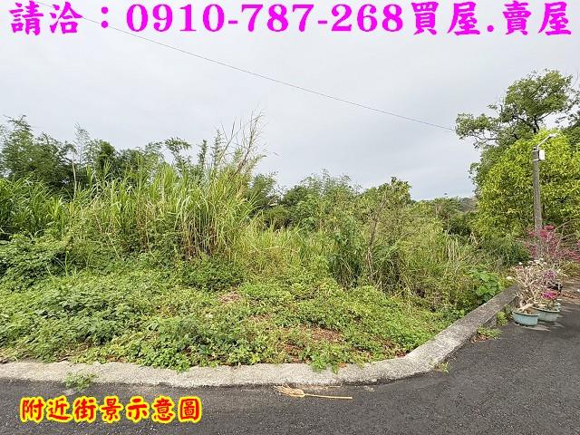 台南關廟農地-10
