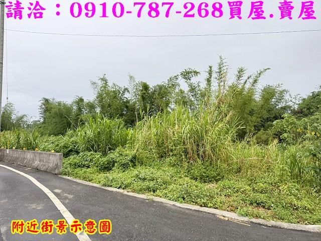 台南關廟農地-3