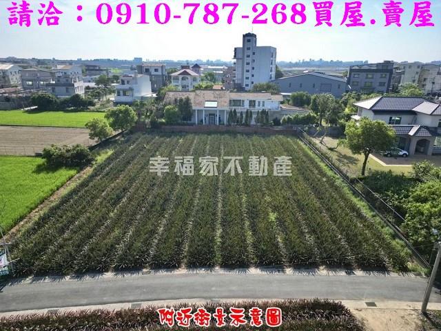 歸仁農地-6