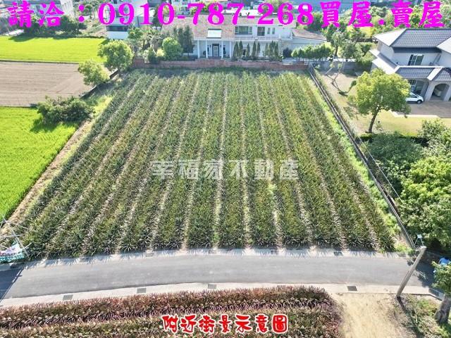歸仁農地-8