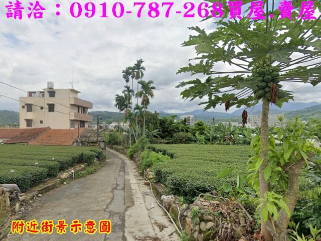南投農地-4