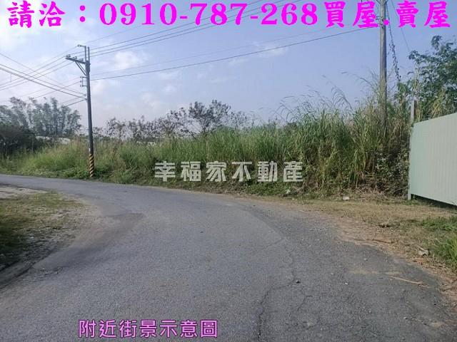 左鎮農地-9