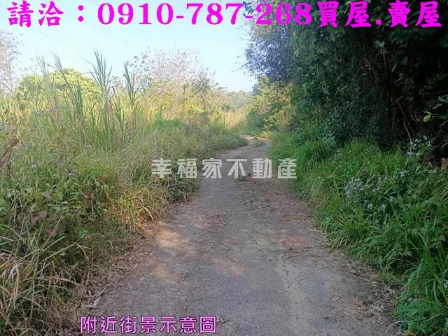 左鎮農地-2