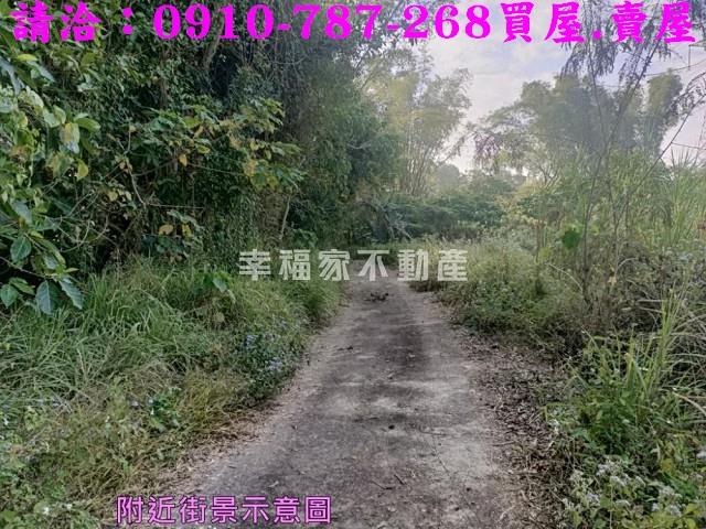 左鎮農地-4