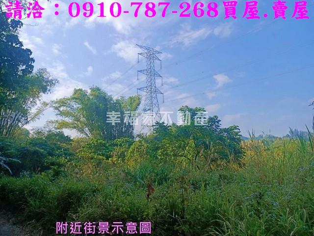左鎮農地-5