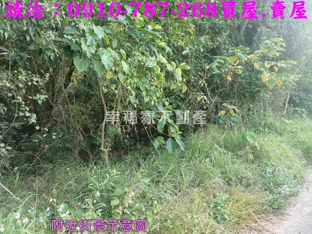 左鎮農地-6