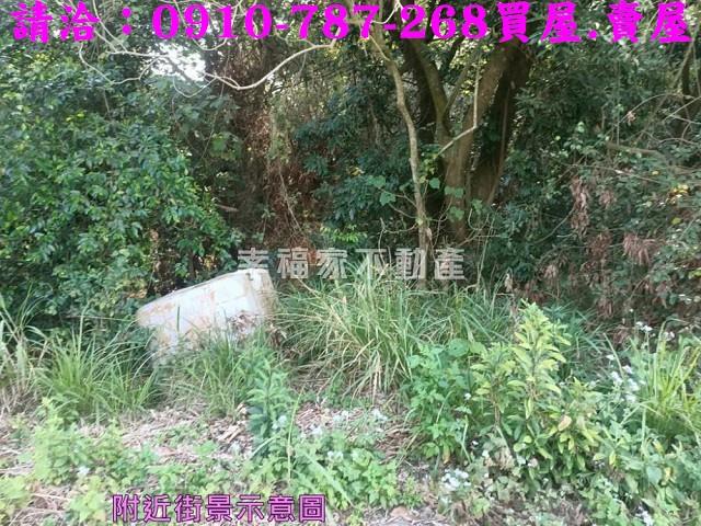 左鎮農地-7