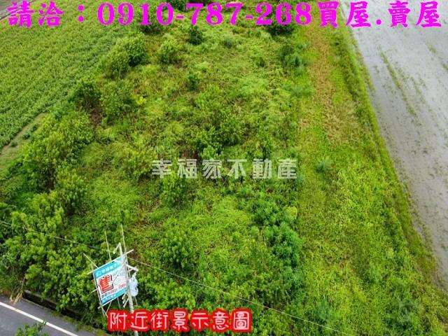 台南農地-10