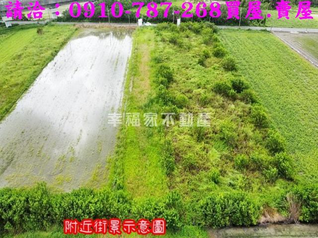 台南農地-12