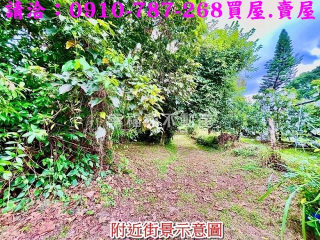 台南大內農地-10