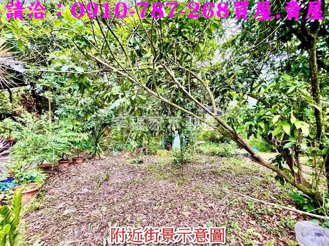 台南大內農地-12