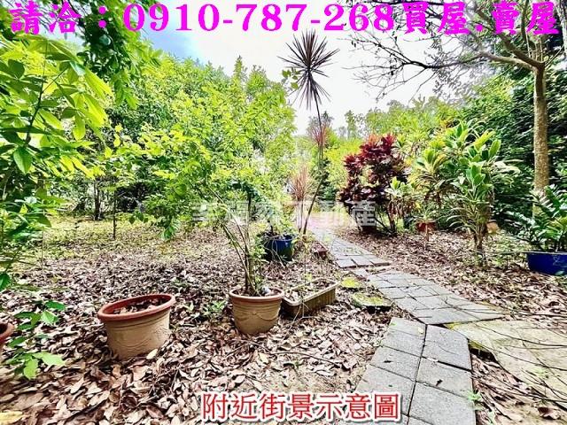 台南大內農地-5