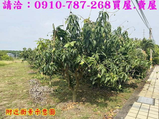台南農地-5