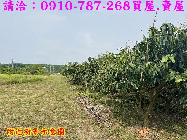 台南農地-6