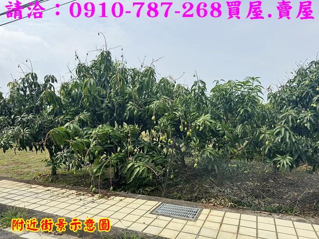 台南農地-7