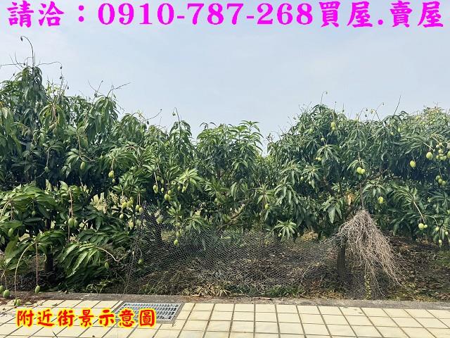 台南農地-8