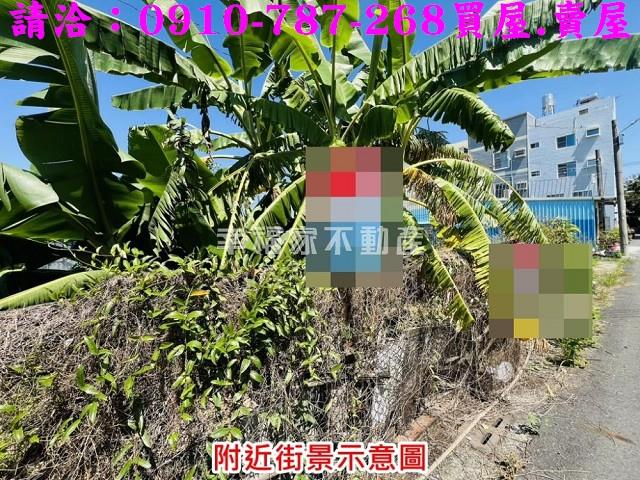 台南下營建地-9
